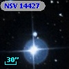 NSV 14427