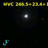 HVC 246.5+23.4+134