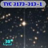 TYC 3173-313-1