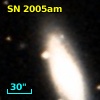 SN 2005am