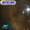 [B77]  44