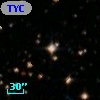 TYC 7161-1310-1