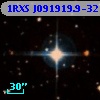1RXS J091919.9-321307