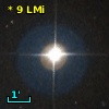 *   9 LMi