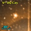 V* DQ Cas
