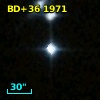 BD+36  1971