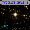 TYC 3173-2613-1