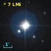 *   7 LMi