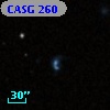 CASG  260