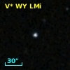 V* WY LMi