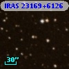 IRAS 23169+6126