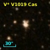 V* V1019 Cas