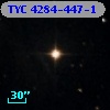 TYC 4284-447-1