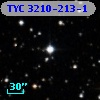 TYC 3210-213-1