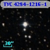 TYC 4284-1216-1