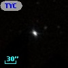 TYC  823-493-1