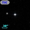 TYC  823-626-1