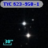 TYC  823-950-1