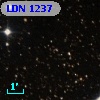LDN 1237