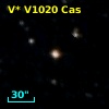 V* V1020 Cas