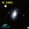IC 2481