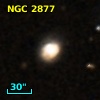 NGC  2877