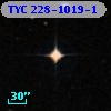 TYC  228-1019-1