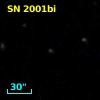 SN 2001bi