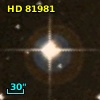 HD  81981