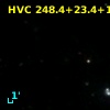 HVC 248.4+23.4+122