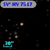 SV* HV  7517