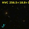 HVC 256.5+18.8+143
