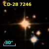 CD-28  7246