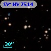 SV* HV  7514