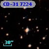 CD-31  7224