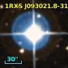 1RXS J093021.8-313259