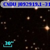 CXOU J092919.1-312244