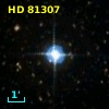 HD  81307
