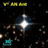 V* AN Ant
