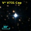 V* V731 Cep