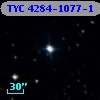 TYC 4284-1077-1