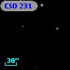 CSO  231