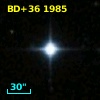 BD+36  1985