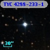 TYC 4288-233-1