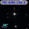 TYC 4288-239-1
