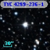 TYC 4289-236-1