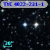 TYC 4022-231-1