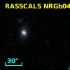 RASSCALS NRGb049