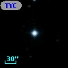 TYC 1403-1004-1