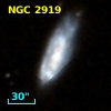 NGC  2919